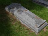 image of grave number 899477